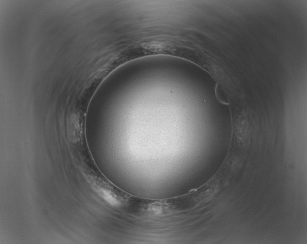 X0000078010420200611031435