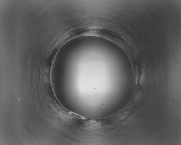 X0000078010421200611031435