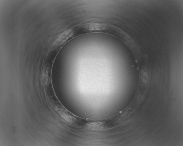 X0000078010422200611031435