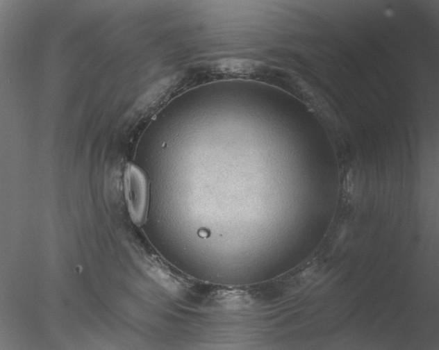 X0000078010424200611031435