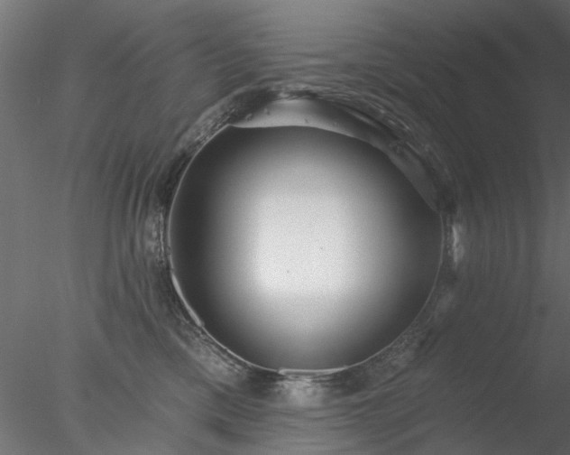 X0000078010425200611031435