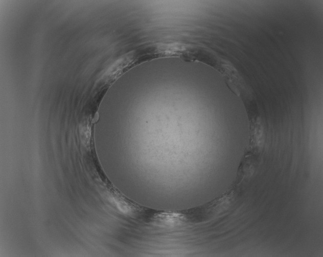 X0000078010427200611031435