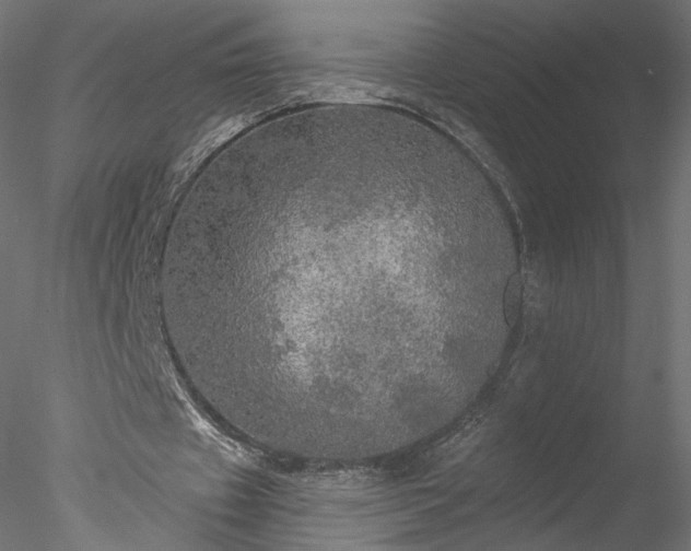 X0000078010433200611031434