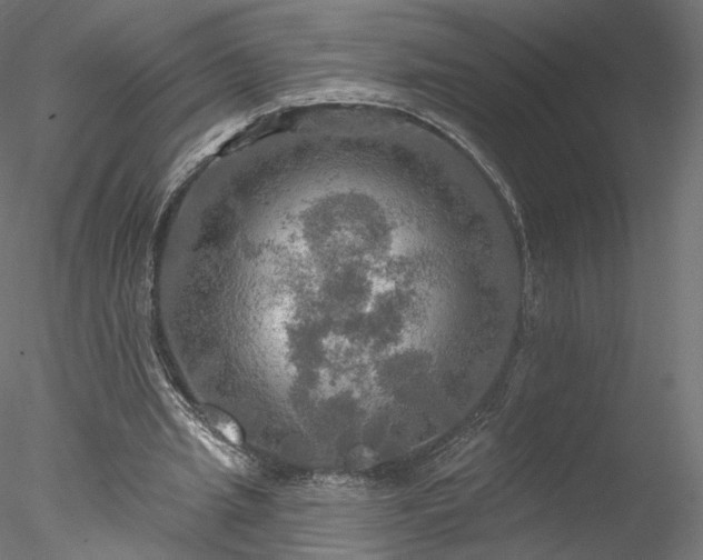 X0000078010437200611031434