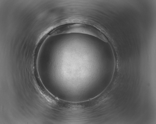 X0000078010438200611031434