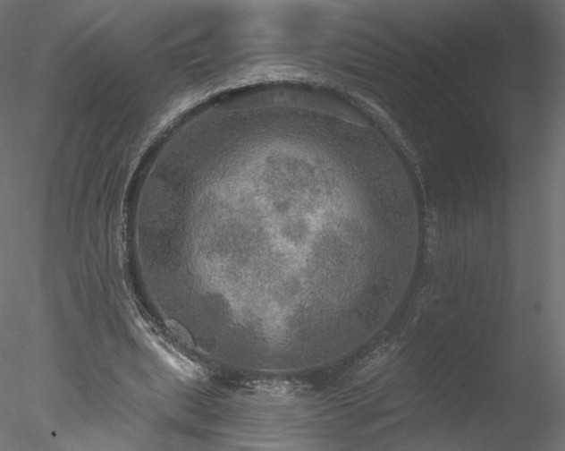 X0000078010439200611031434