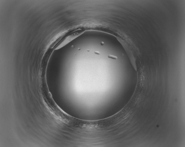 X0000078010440200611031434