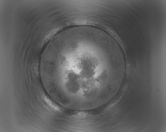 X0000078010441200611031434