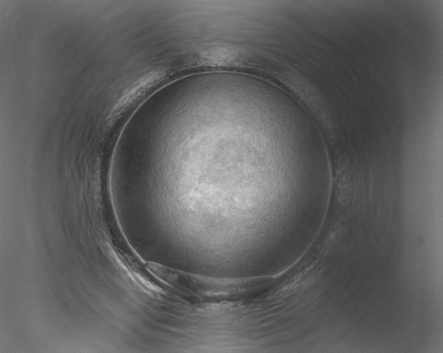 X0000078010442200611031434