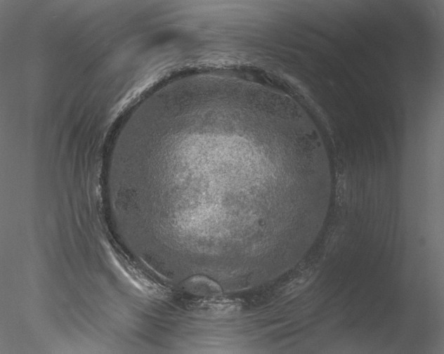 X0000078010443200611031434