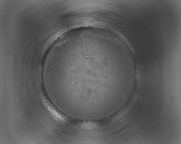 X0000078010445200611031434