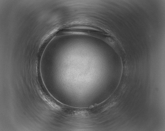 X0000078010446200611031434