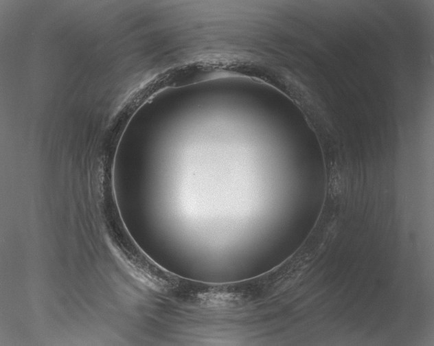 X0000078010448200611031434