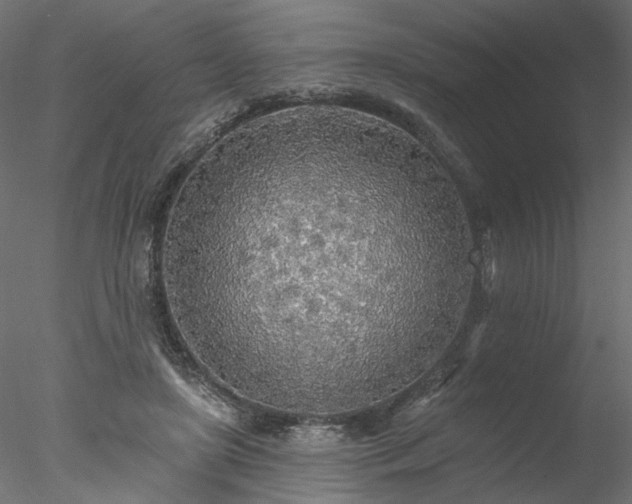 X0000078010451200611031434