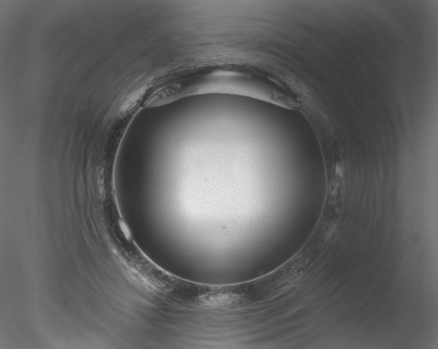 X0000078010452200611031434