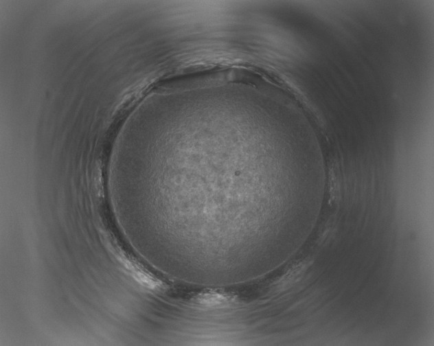 X0000078010453200611031434