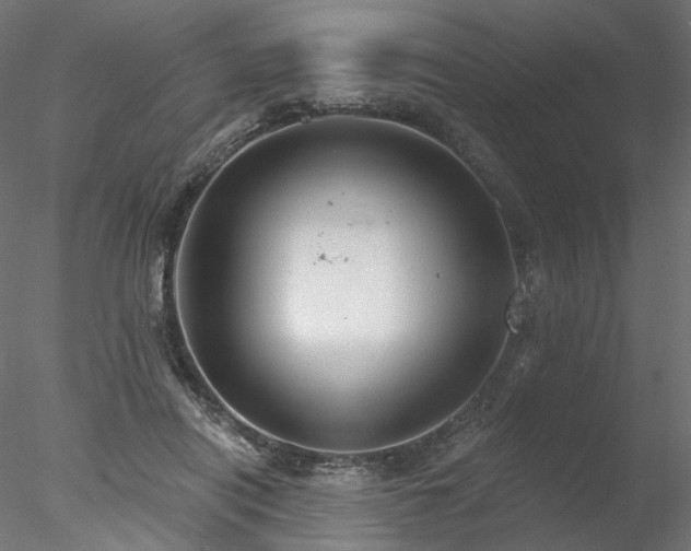 X0000078010454200611031434