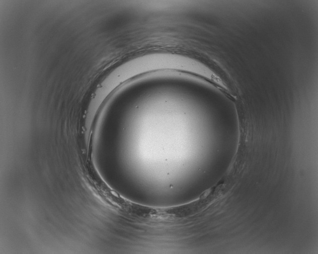 X0000078010455200611031434