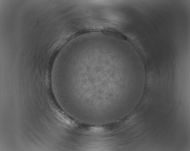 X0000078010457200611031434