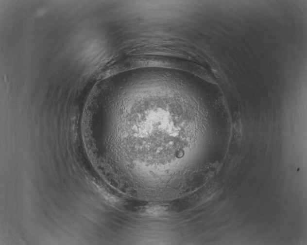 X0000078010462200611031435