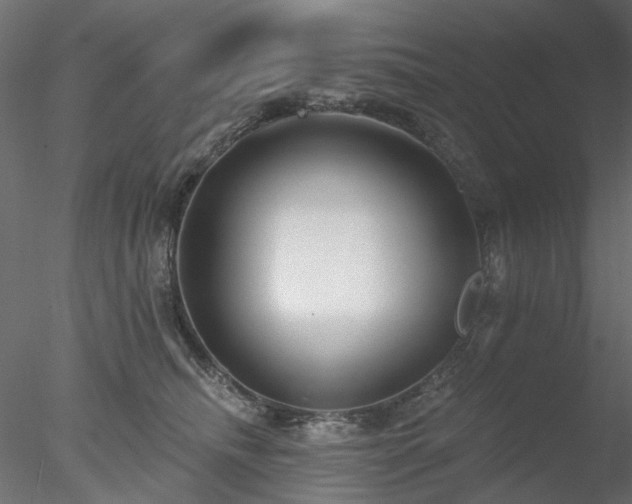 X0000078010468200611031435