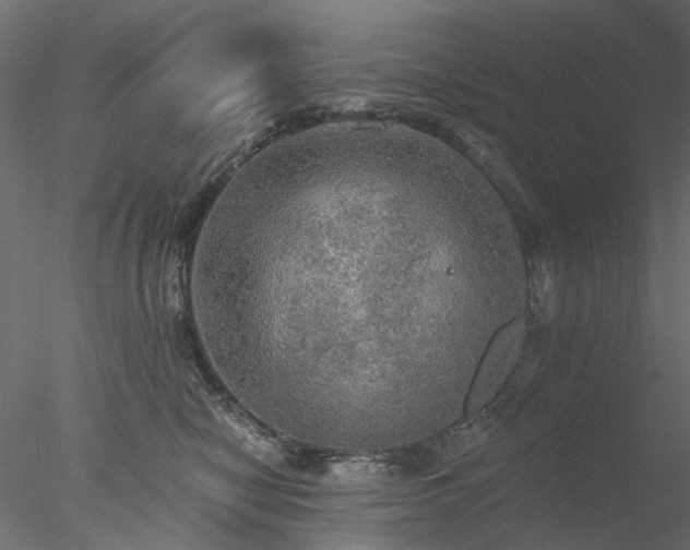 X0000078010470200611031435