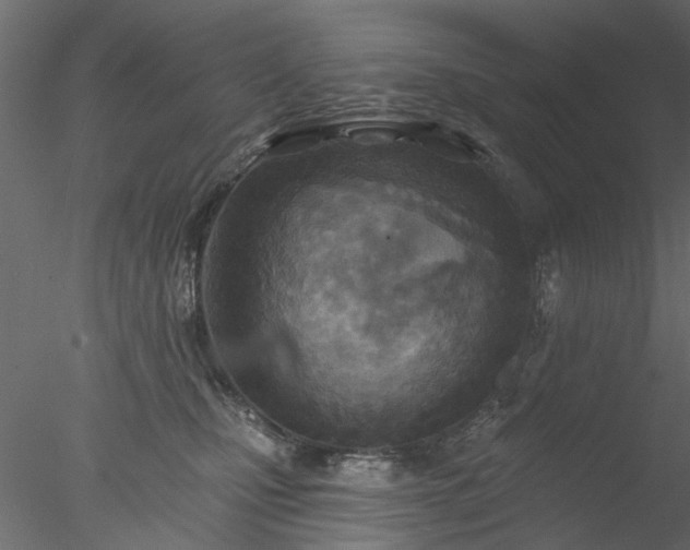 X0000078010471200611031435