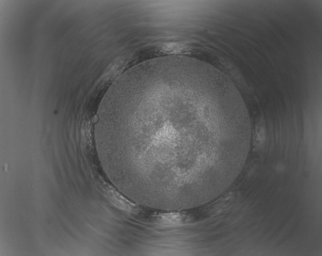 X0000078010473200611031435