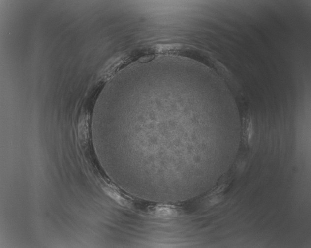 X0000078010475200611031435