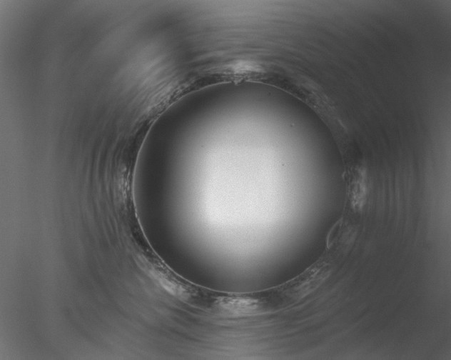 X0000078010476200611031435