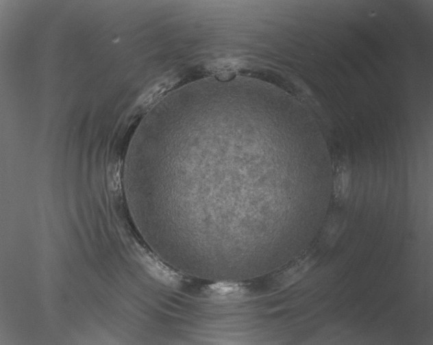 X0000078010477200611031435