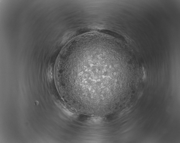 X0000078010479200611031435