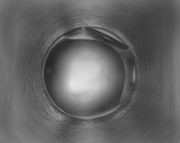 X0000078010481200611031434