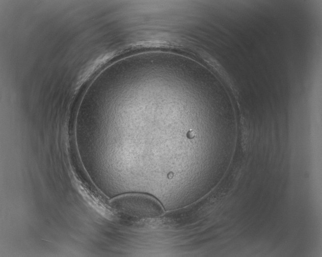 X0000078010482200611031434