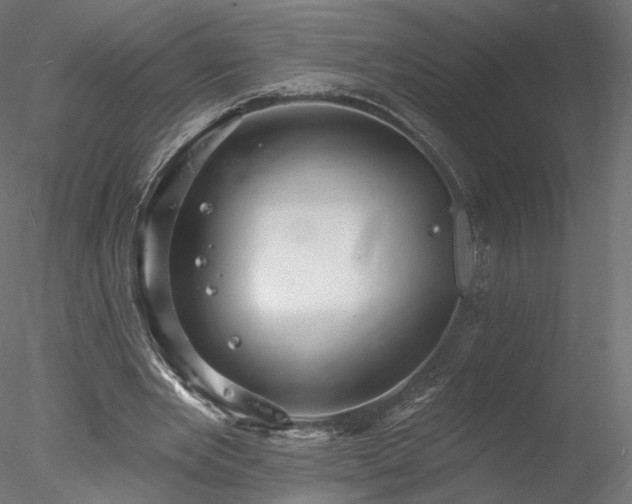 X0000078010485200611031434