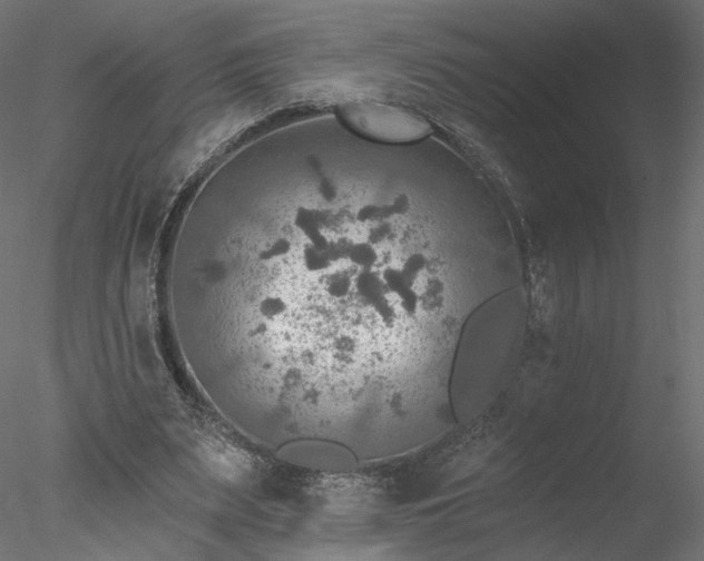 X0000078010487200611031434