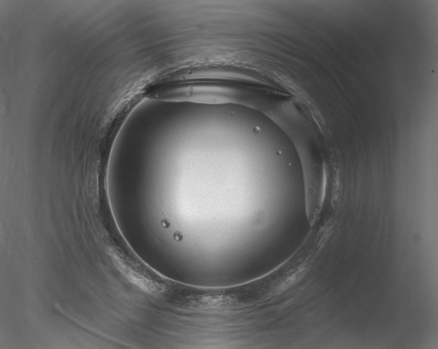 X0000078010493200611031434