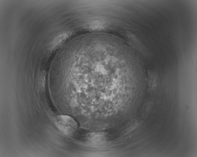 X0000078010495200611031434