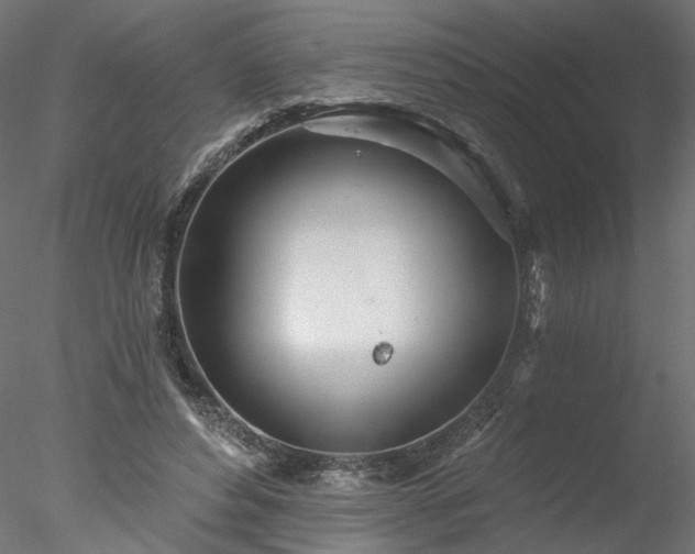 X0000078010496200611031434