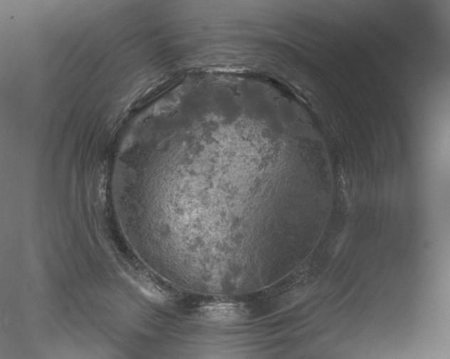 X0000078010499200611031434