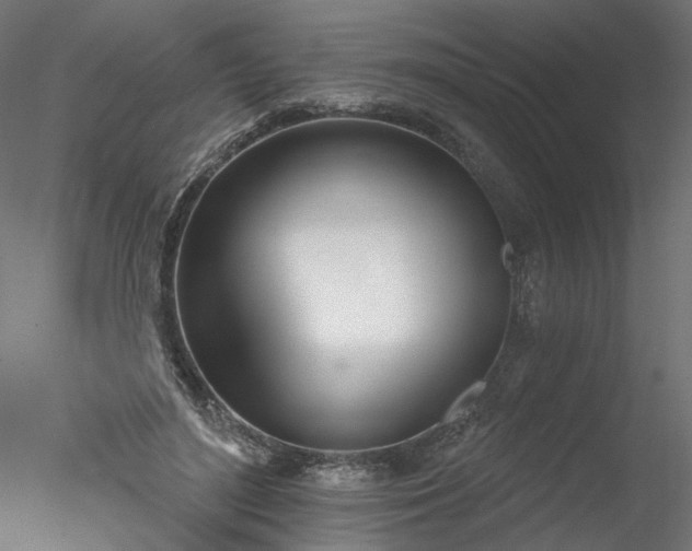 X0000078010500200611031434