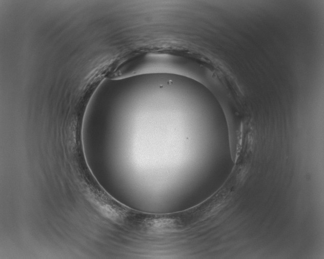 X0000078010501200611031434