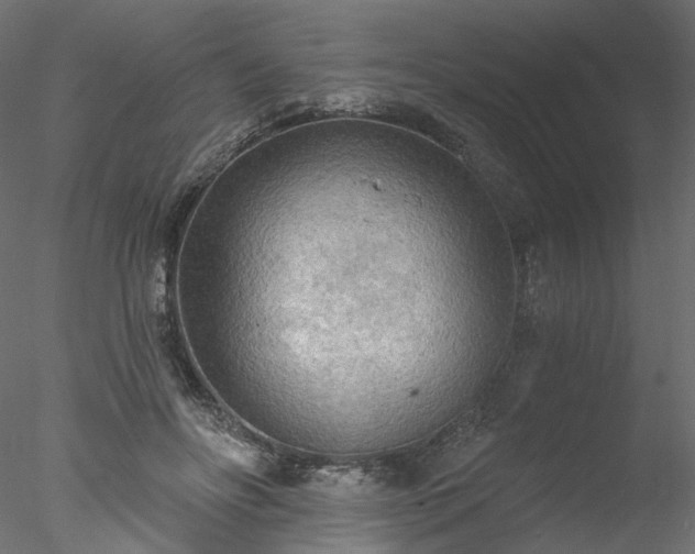 X0000078010502200611031434