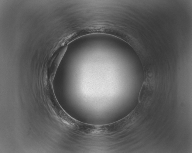 X0000078010504200611031434