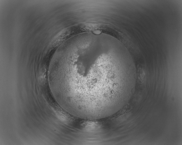 X0000078010507200611031434