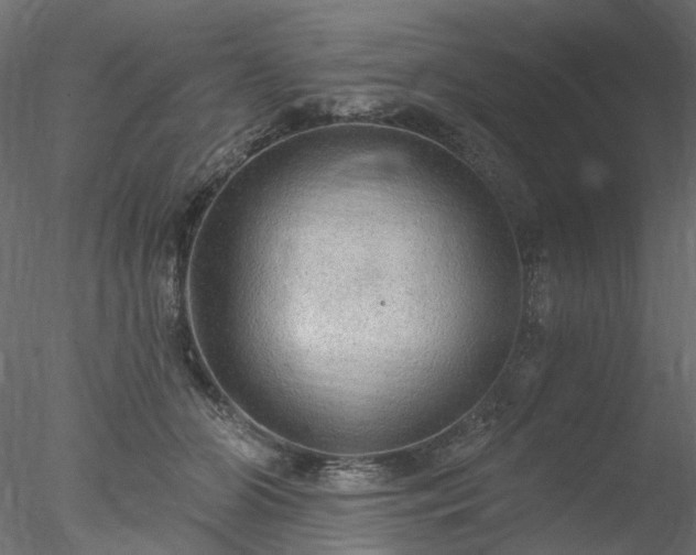 X0000078010510200611031434