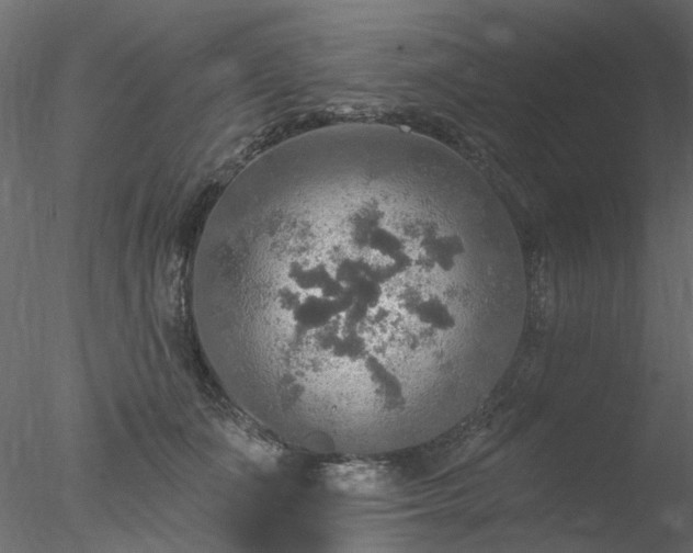 X0000078010511200611031434