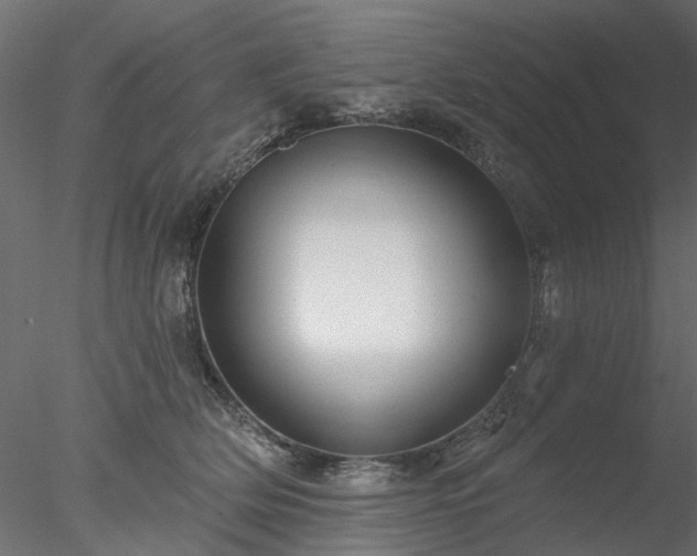 X0000078010514200611031433