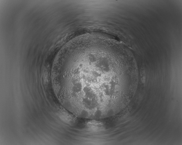 X0000078010515200611031433