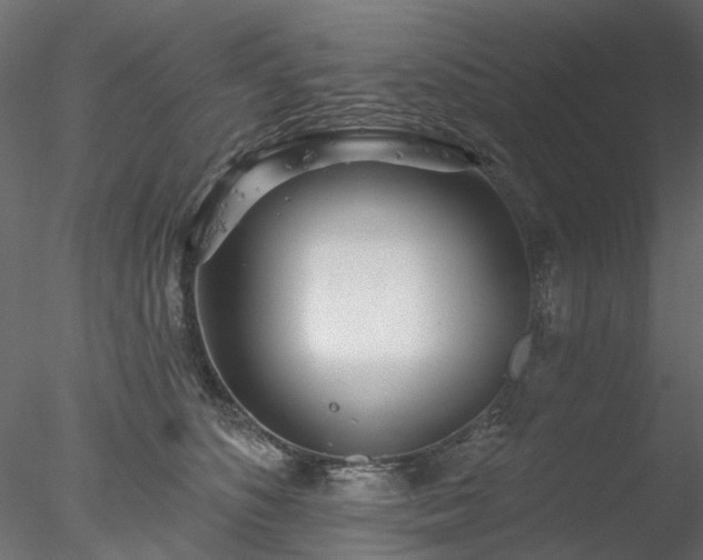 X0000078010516200611031433